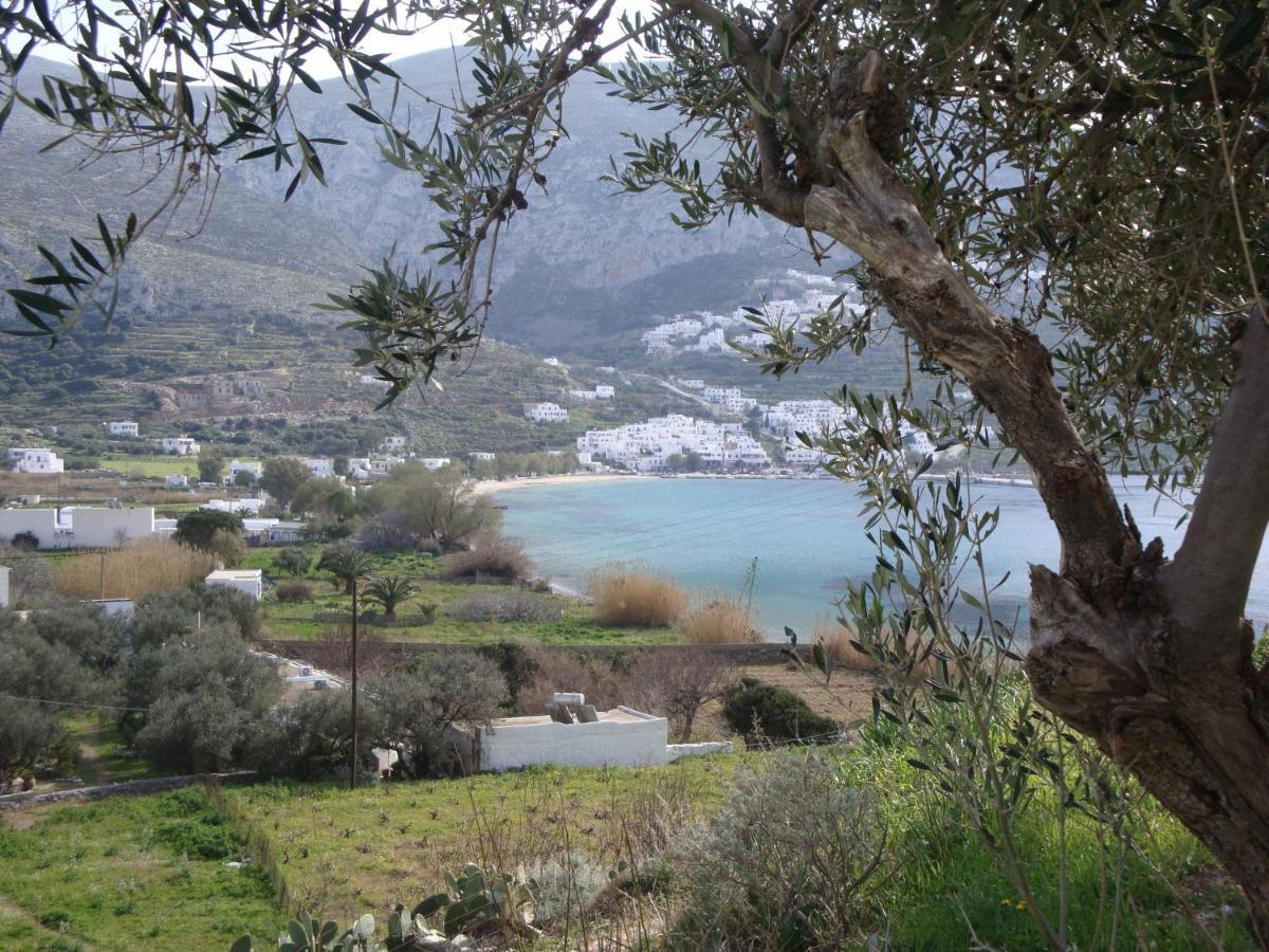 אגיאלי Amorgi Studios מראה חיצוני תמונה